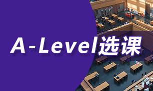 2024热门专业ALevel科目选择指导