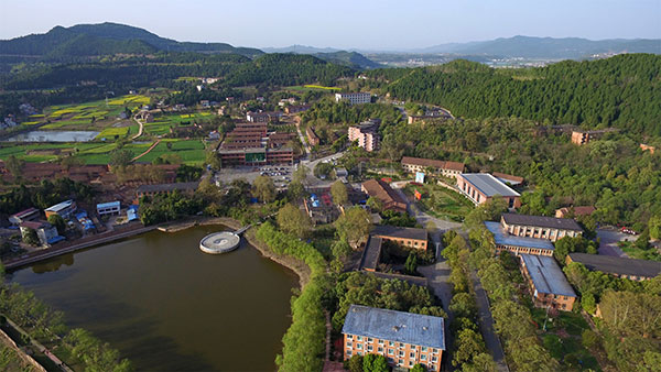 A-Level课程的特点是什么？考试形式如何安排？